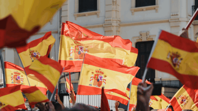 Lei dos Netos Espanha