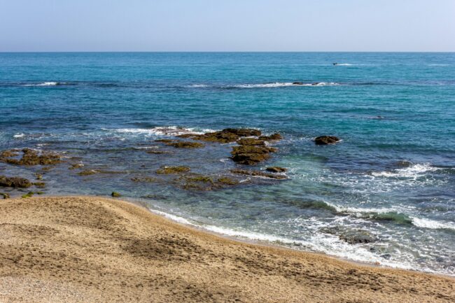 fernando-tavora-Roisd9BM_mo-unsplash