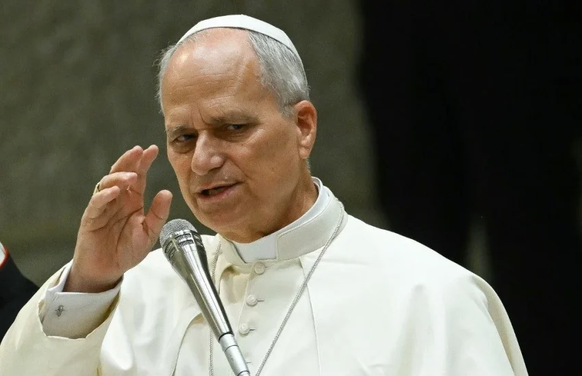 000_798X388-1024x682