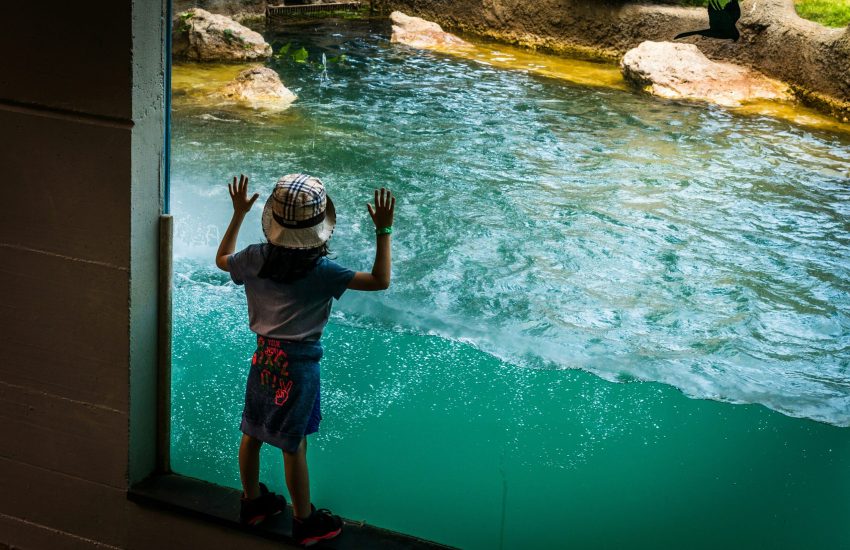 ahmed-almakhzanji-lq04BZl3-Ug-unsplash