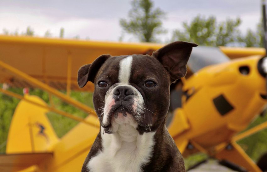 daron-kuzina-5-JIwEkb4vI-unsplash