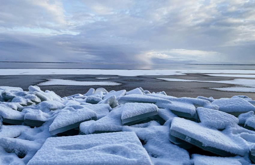 ivan-rohovchenko-NUvEXZ4R2a8-unsplash