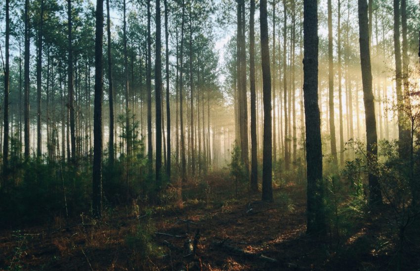 steven-kamenar-MMJx78V7xS8-unsplash
